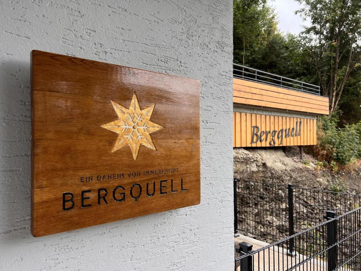 Ferienwohnung Haus Bergquell App 2 Willingen  Exterior foto